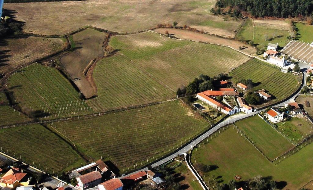Quinta De Santa Baia Pensionat Gaifar Eksteriør billede